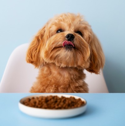 Alimento Premium para Perros